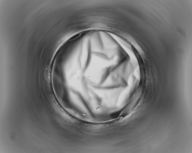 X0000111681292200908141442