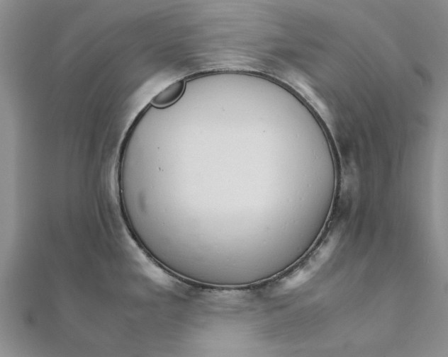 X0000111681293200908141442