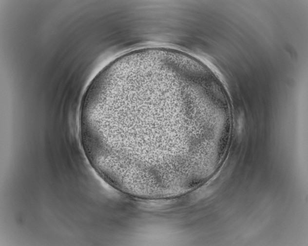 X0000111681294200908141442