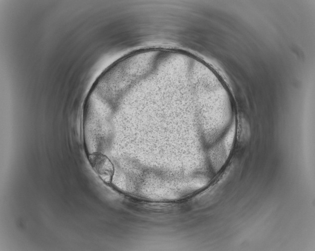 X0000111681295200908141442