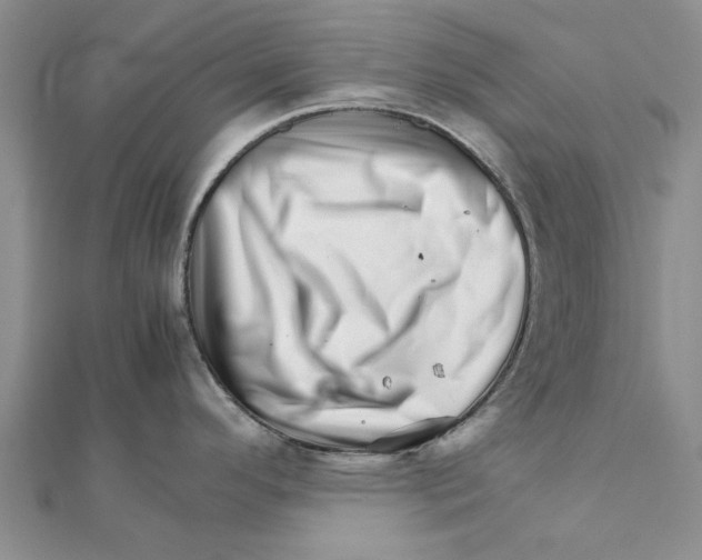 X0000111681296200908141442