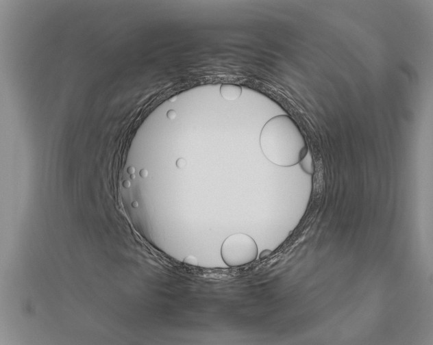 X0000111681297200908141441