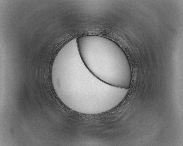 X0000111681298200908141441