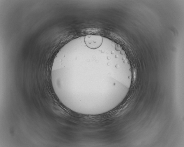 X0000111681299200908141441