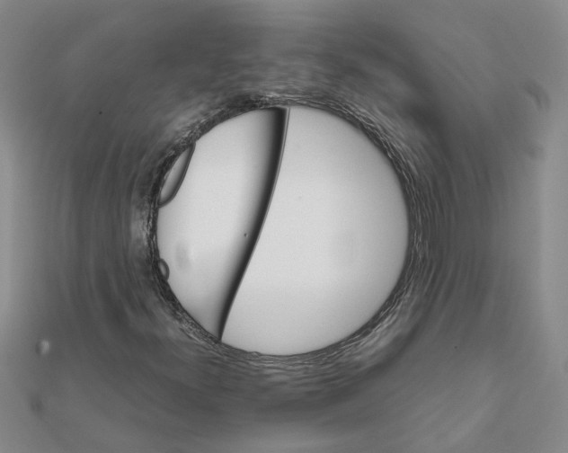 X0000111681300200908141441