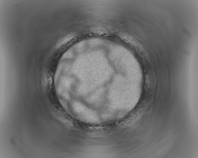 X0000111681302200908141441