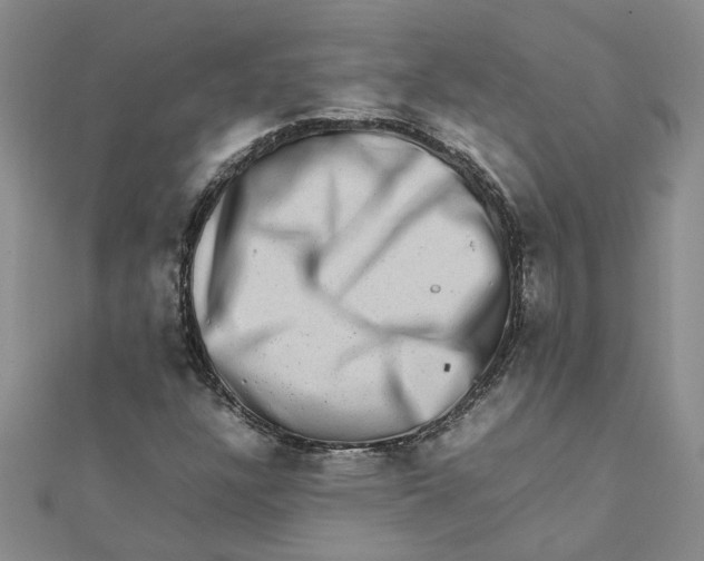 X0000111681304200908141441