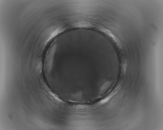 X0000111681306200908141441