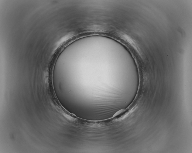 X0000111681307200908141441