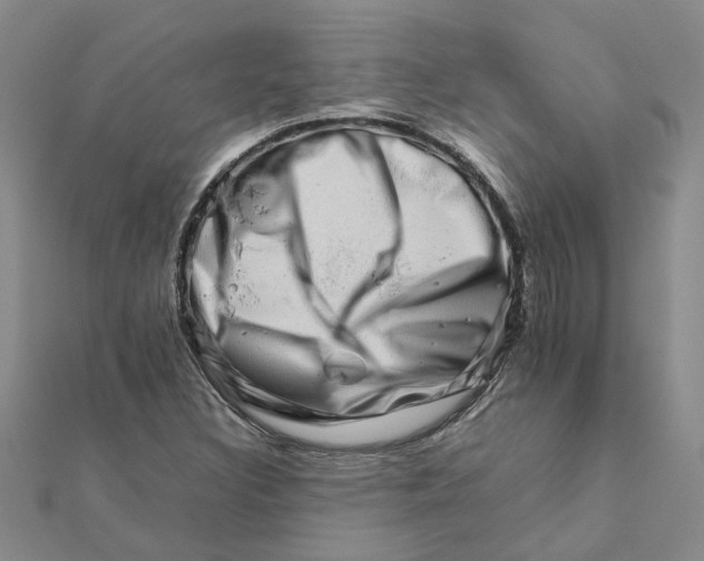 X0000111681308200908141441