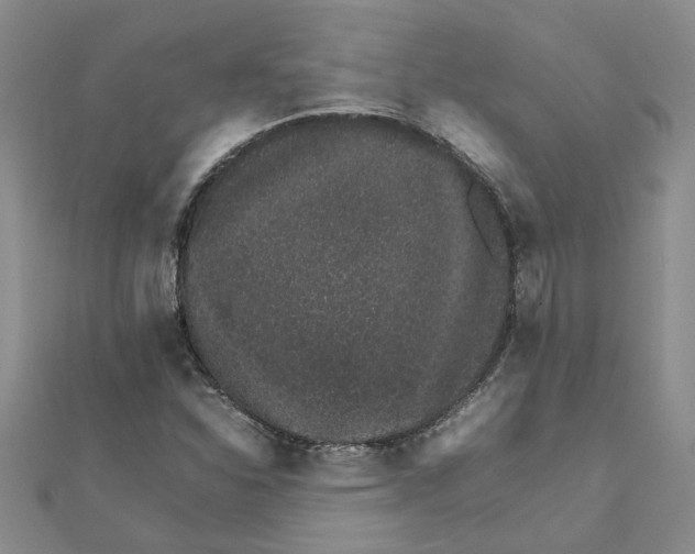 X0000111681310200908141441