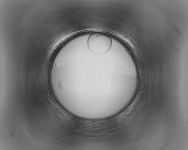 X0000111681311200908141441