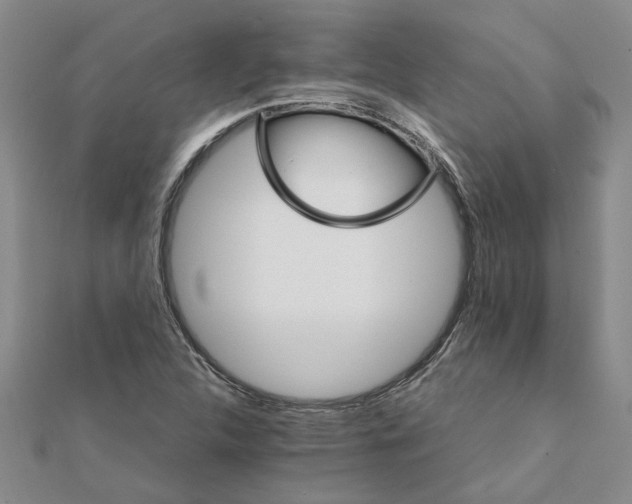 X0000111681312200908141441