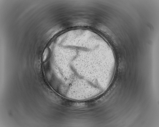 X0000111681313200908141441