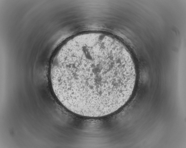 X0000111681314200908141441