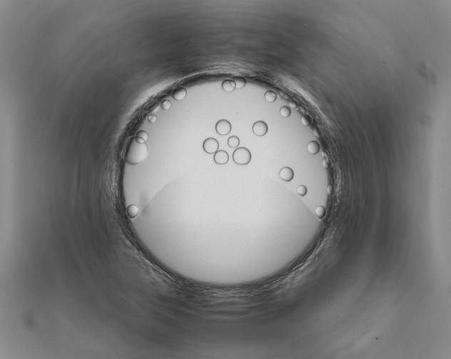 X0000111681315200908141441