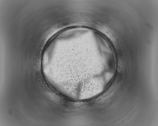 X0000111681316200908141441