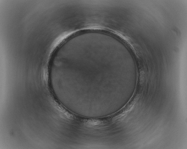 X0000111681319200908141441