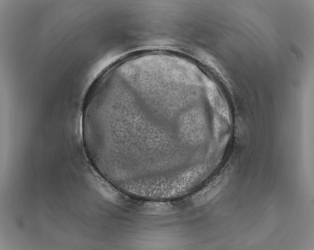 X0000111681320200908141441