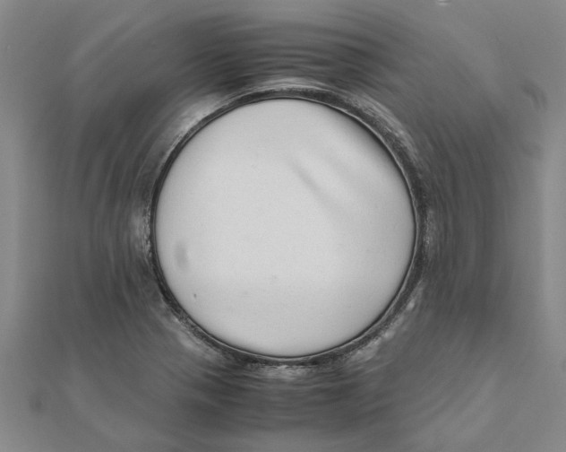 X0000111681321200908141441