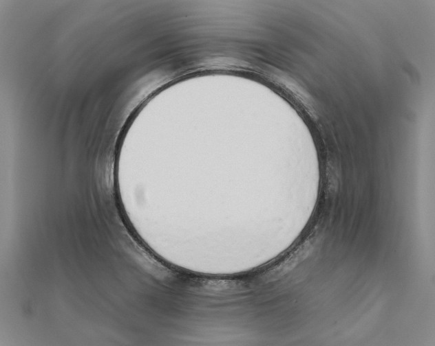 X0000111681322200908141441