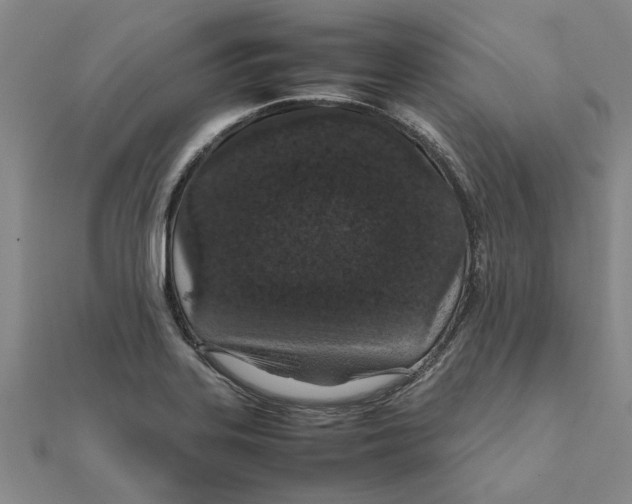 X0000111681323200908141441