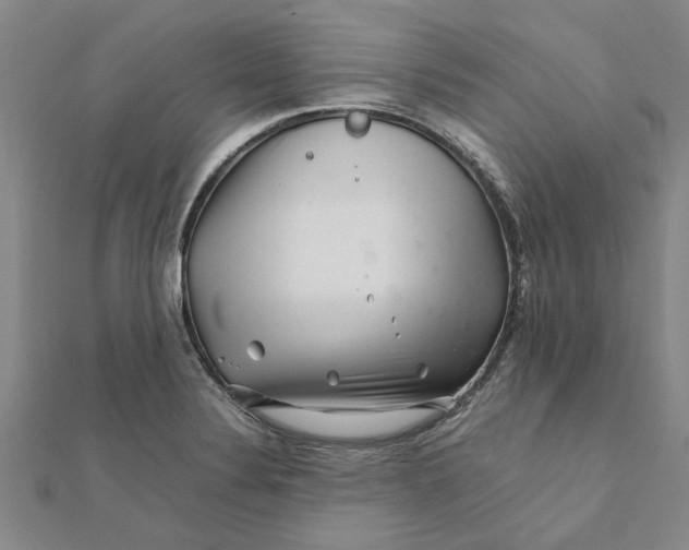 X0000111681324200908141442