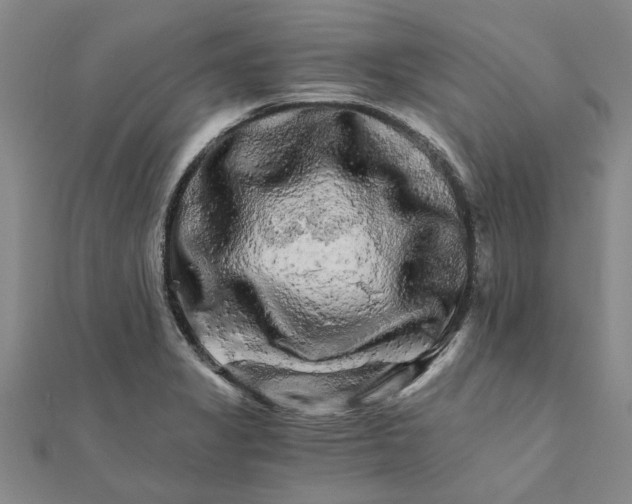 X0000111681325200908141442