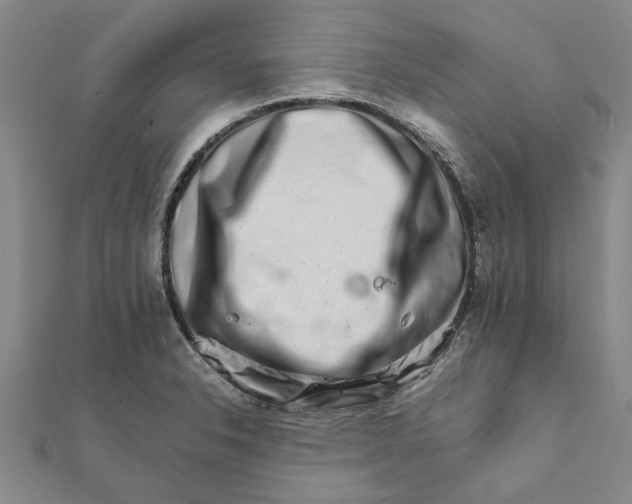 X0000111681326200908141442