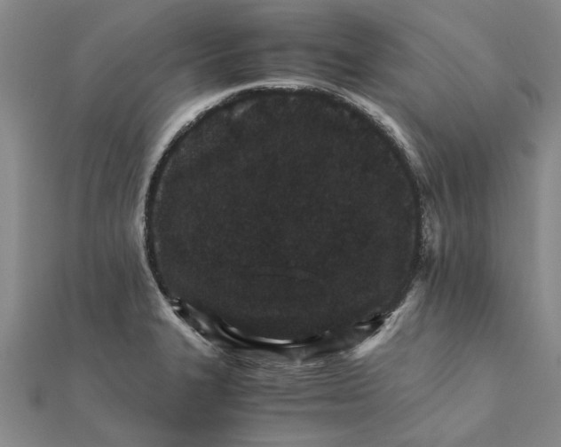 X0000111681327200908141442