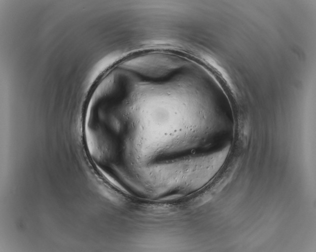 X0000111681328200908141442