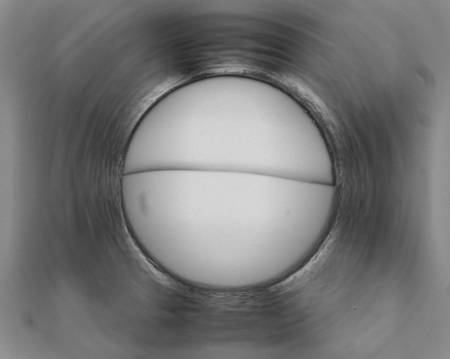 X0000111681329200908141442