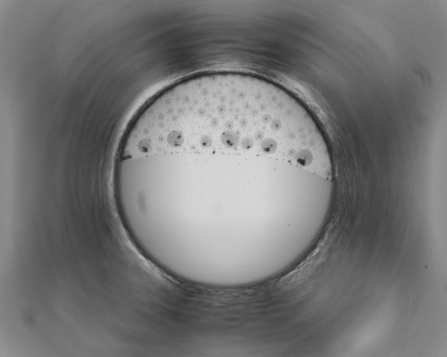 X0000111681331200908141442