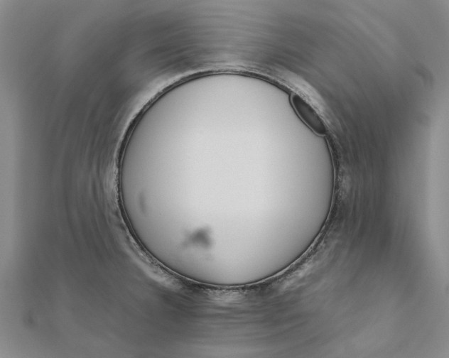 X0000111681332200908141442