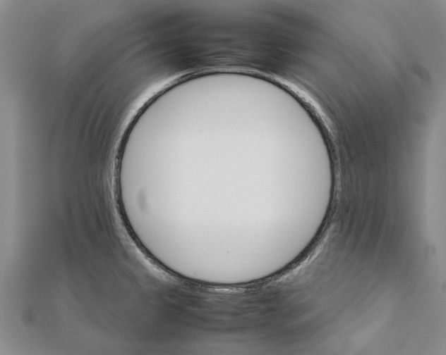 X0000111681333200908141442