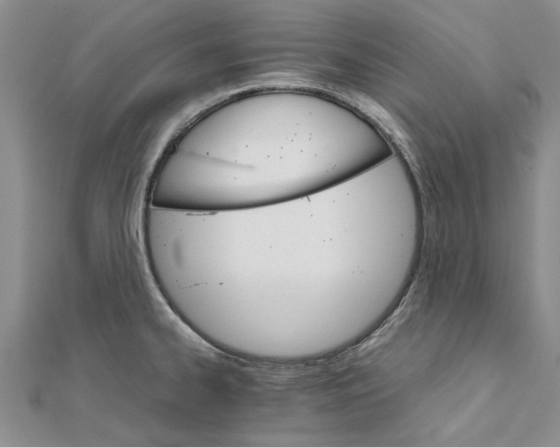 X0000111681334200908141442