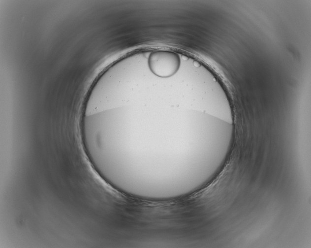 X0000111681335200908141442