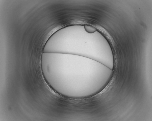 X0000111681337200908141442