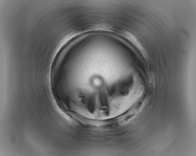 X0000111681339200908141442