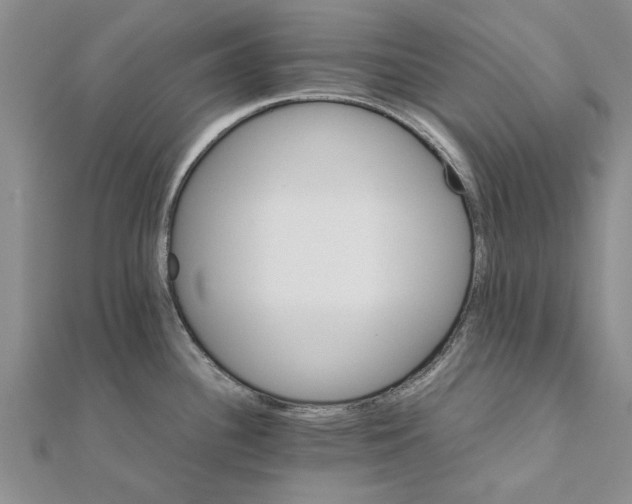 X0000111681340200908141442