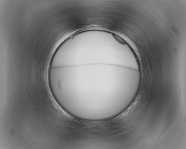 X0000111681341200908141442