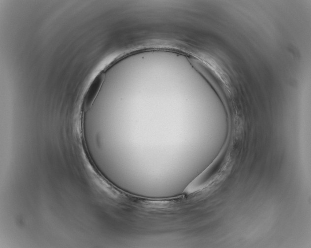 X0000111681342200908141442