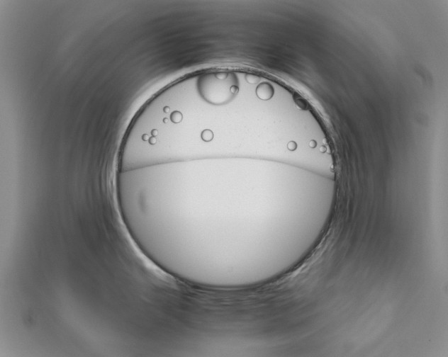 X0000111681343200908141442