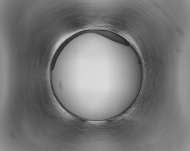 X0000111681344200908141442