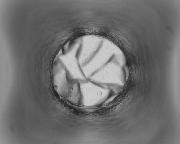 X0000111681345200908141441