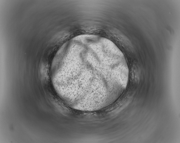 X0000111681346200908141441