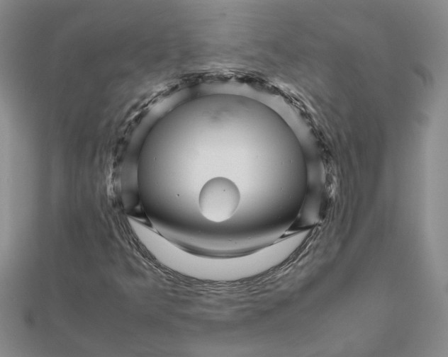 X0000111681349200908141441