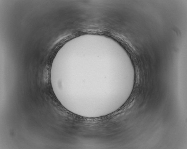 X0000111681350200908141441