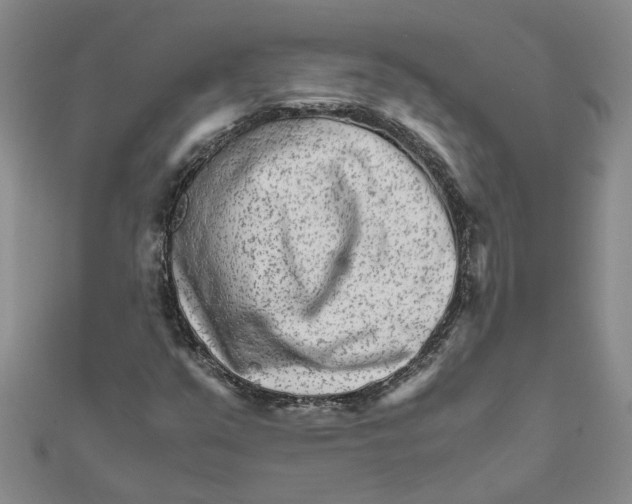 X0000111681351200908141441