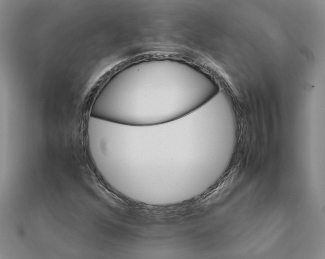 X0000111681352200908141441